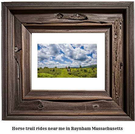 horse trail rides near me in Raynham, Massachusetts